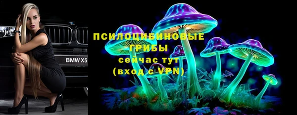 эйфоретик Балахна