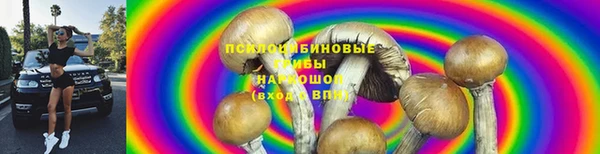 эйфоретик Балахна