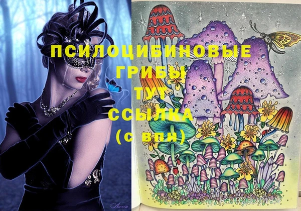 гашик Балабаново