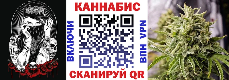 Канабис гибрид  Корсаков 